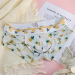 Floral Ice Silk Boxer Briefs Set 1