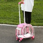 Portable Pet Trolley Carrier with Silent Wheels 2
