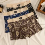 Vintage Ethnic Print Boxer Briefs 3