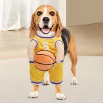 Dog Basketball Player Costume 4
