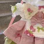 Kawaii Small Dog Princess Dress 4