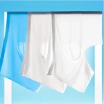 Ice Silk Seamless Boxer Briefs 2