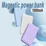 10000mAh Dual Device Fast Charge Power Bank 2 | PricZone