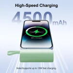 Mini 4500mAh USB C Capsule Power Bank 3 | PricZone