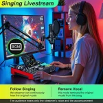 Podcast Microphone Bundle with 48V Phantom Powerlive Sound 5 | PricZone
