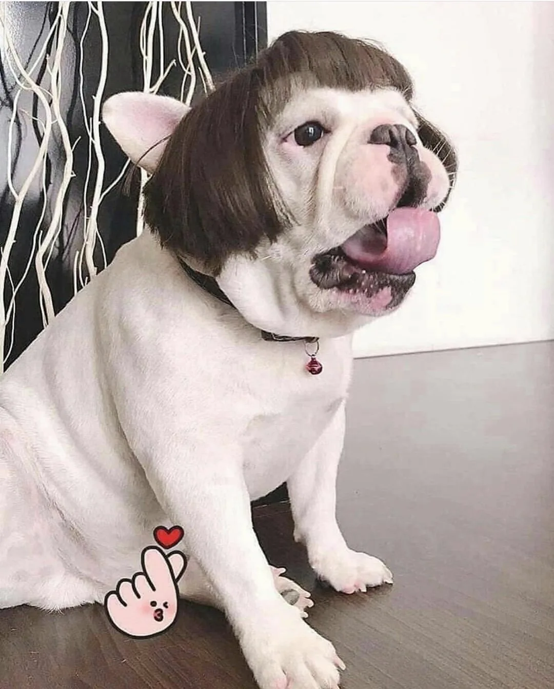 Funny Dog Cosplay Wig Fashion Headwear Apparel Toy Pet 17