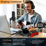 5Mm Microphone and Live Sound Card Audio Interface Mixer 4 | PricZone
