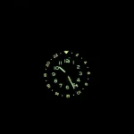 Pagani Design Pd1784 Mens GMT Automatic Mechanical Watch 5 | PricZone
