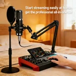 Professional Audio Mixer Sound Card Microphone Set 12 2 | PricZone