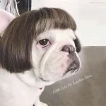 Funny Dog Cosplay Wig Fashion Headwear Apparel Toy Pet 4 | PricZone