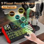 Podcast Microphone Bundle with Live Sound Card 6Channel 2 | PricZone