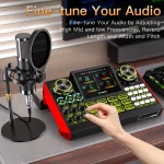 Podcast Microphone Bundle with Live Sound Card 6Channel 3 | PricZone
