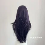 Ashley Dark Purple Wig Female 22Inch Long Hair Curtain 3 | PricZone