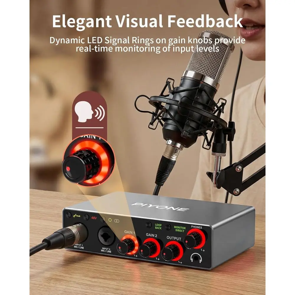 Dual-Channel 24-Bit/192Khz Audio Interface 13