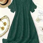Plus Size Lace V Neck A Line Dress with Scallop Trim 1 | PricZone