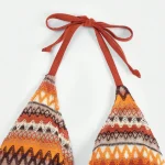 Adjustable Halter Triangle Bikini Top with Ethnic Print Trim 2 | PricZone