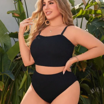 Plus Size 2 Piece Bikini Set with High Waisted Brief 1