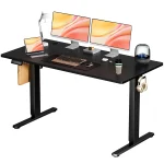 55X24 Inch Electric Standing Desk with Ergonomic Design 6 | PricZone