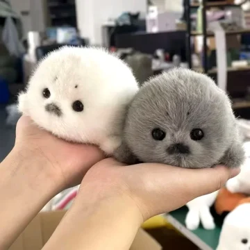 Soft Grey Seal Plush Keychain White Animal Pendant 1