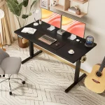 55X24 Inch Electric Standing Desk with Ergonomic Design 3 | PricZone