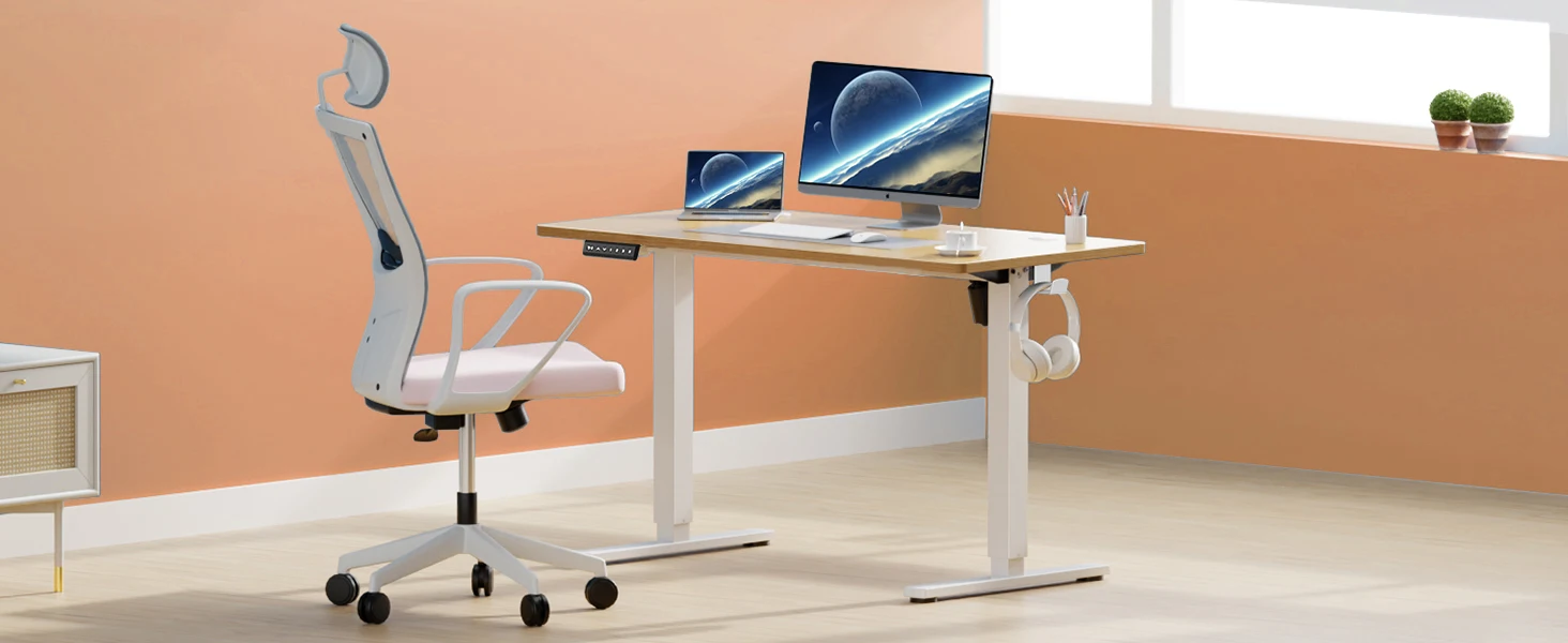 Electric Standing Desk 40X24 Inch Height Adjustable 9