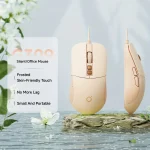 Ergonomic Silent Click USB Optical Mouse 2400 DPI 2 | PricZone Ergonomic Silent Click USB Optical Mouse 2400 DPI 2 | PricZone