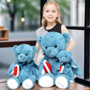 In Heart Teddy Bear Plush Toy for Boys and Girls 1