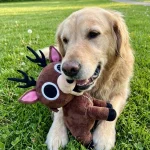 Nights Forest Plush Toy 8 Inch Deer 2 | PricZone Nights Forest Plush Toy 8 Inch Deer 2 | PricZone
