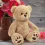 Brown Teddy Bear 12” Plush Toy for Kids
