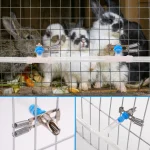 Rabbit Automatic Water Feeding Dispenser Set Drinking 4 | PricZone Rabbit Automatic Water Feeding Dispenser Set Drinking 4 | PricZone