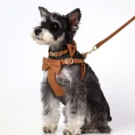 Small Dog Harness Collar Leash Set for XS Dogs Nylon 4 | PricZone