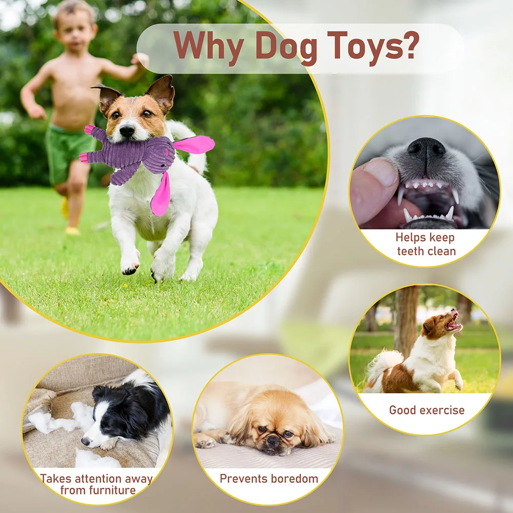 5 Pack Dog Toys Plush Squeaky Assortment Value Bundle 8