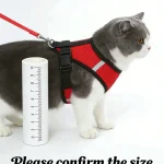 Pet Chest Strap Harness Leash Set Dog Cat Mesh Breathable 3 | PricZone Pet Chest Strap Harness Leash Set Dog Cat Mesh Breathable 3 | PricZone