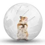 Silent Hamster Wheel for Small Animals Transparent Exercise 1 | PricZone
