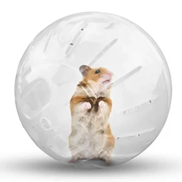 Silent Hamster Wheel for Small Animals Transparent Exercise 1 | PricZone