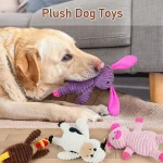 5 Pack Dog Toys Plush Squeaky Assortment Value Bundle 2 | PricZone