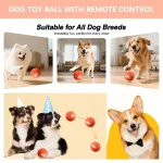 Remote Control Dog Toy Ball with Multiple Modes 4 | PricZone