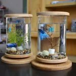 360 Degree Rotating Glass Betta Fish Tank Bamboo Base 2 | PricZone