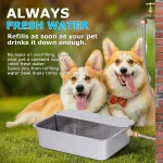 Automatic Outdoor Dog Water Dispenser for Cow Goat Dogs 8 | PricZone Automatic Outdoor Dog Water Dispenser for Cow Goat Dogs 8 | PricZone