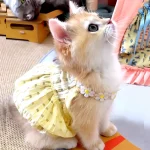 Breathable Cat Floral Skirt Mini Dog Dress 2 | PricZone