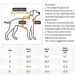 Waterproof Transparent Dog Raincoat for Small Dogs 4 | PricZone