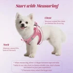 Dog Harness and Leash Set Outdoor Walking Soft Mesh 2 | PricZone