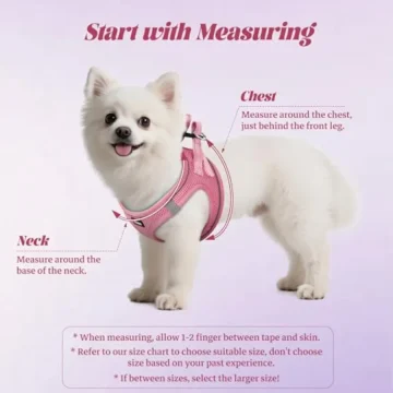 Dog Harness and Leash Set: Outdoor Walking Soft Mesh 2