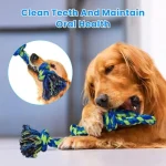 Heavy Duty Dog Rope Toys for Large Breed Aggressive Chewers 6 | PricZone