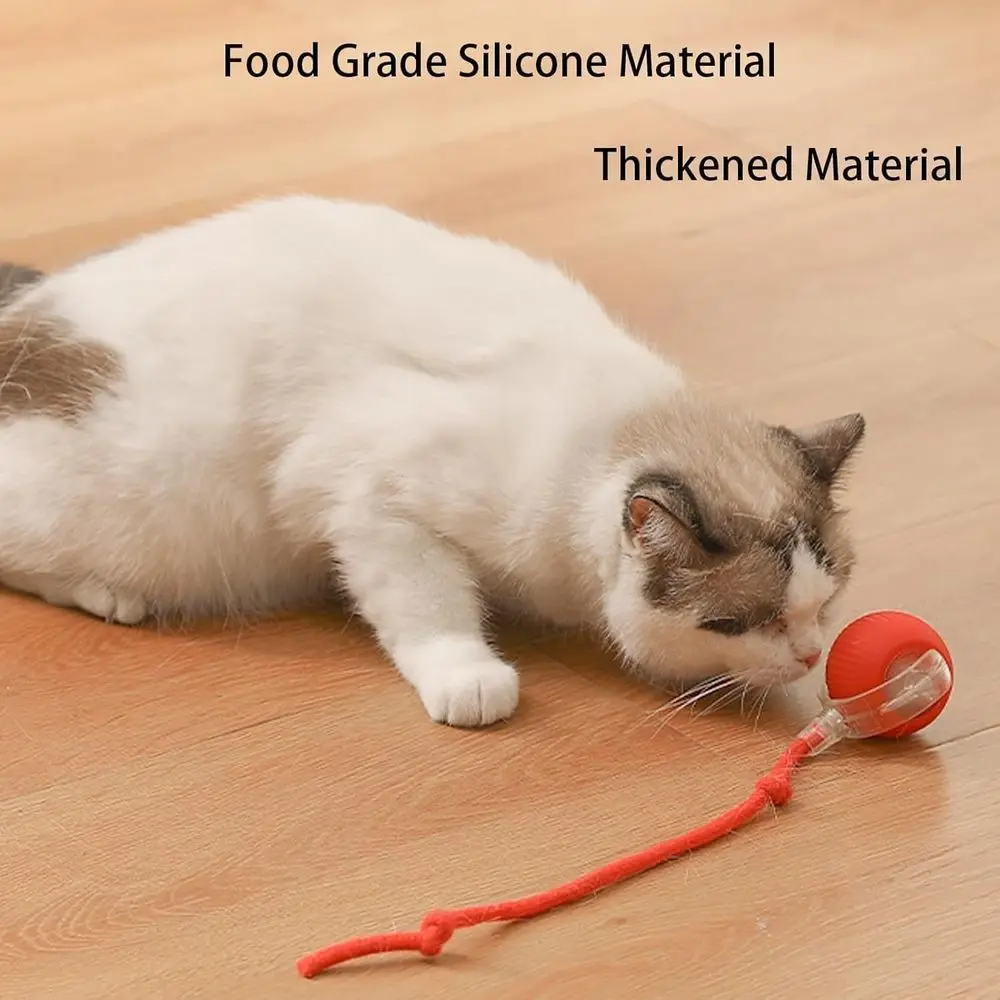 Interactive Cat Dog Toy Roller Ball Sports Ast Rolling 6 | PricZone Interactive Cat Dog Toy Roller Ball Sports Ast Rolling 6 | PricZone