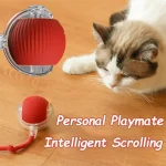 Interactive Cat Ball with Long Lasting Durable Design 3 | PricZone