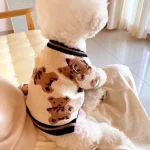 Luxury Striped Dog Sweater for Chihuahua and Bichon Frise 5 | PricZone