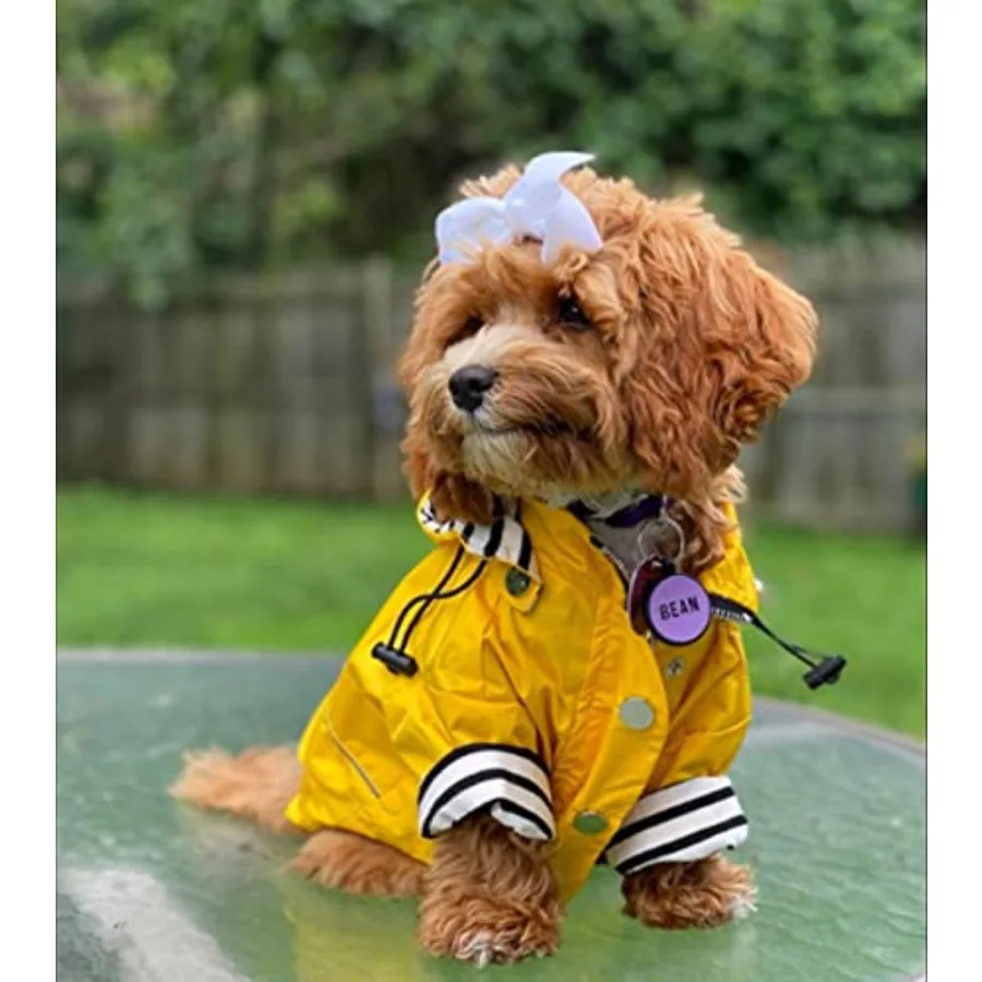 Dog Raincoat with Reflective Buttons and Adjustable Hood 6 | PricZone Dog Raincoat with Reflective Buttons and Adjustable Hood 6 | PricZone