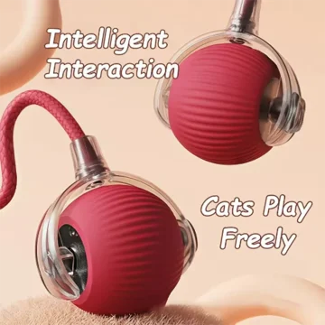 Interactive Cat Ball with Long-Lasting Durable Design 2
