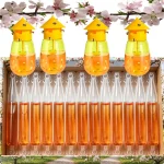 Liquid Fruit Fly Killer Trap Drosophila Attractant Wasp 1 | PricZone